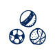 havanese breeders